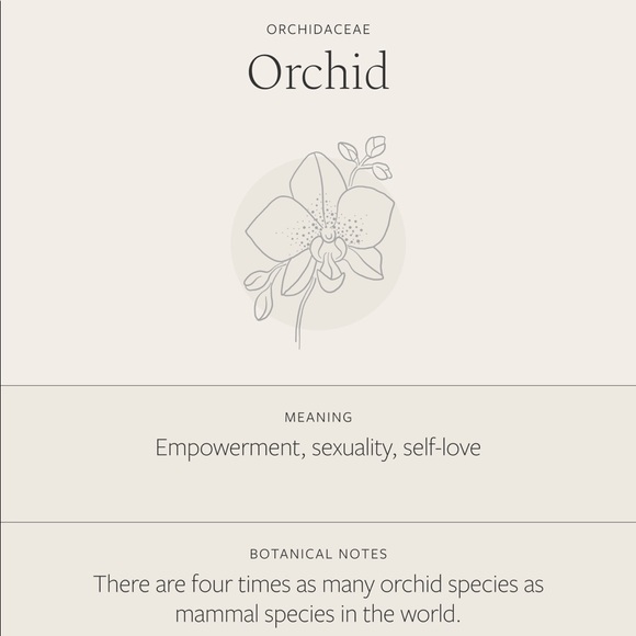 Orchid Floral Boho Minimalist Indie Plant Necklace - Picture 6 of 15